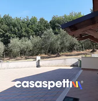 Foto annuncio 12