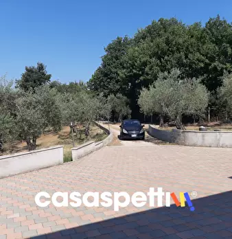 Foto annuncio 13