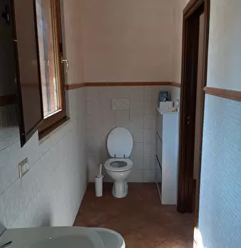 Foto annuncio 21