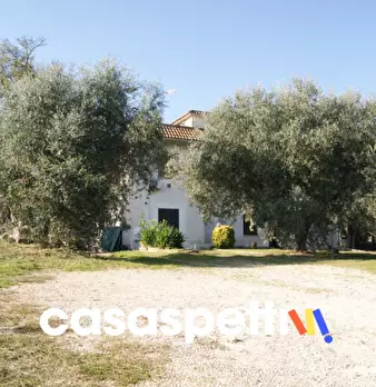 Foto annuncio 5