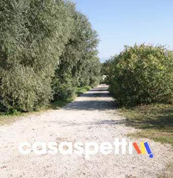 Foto annuncio 6