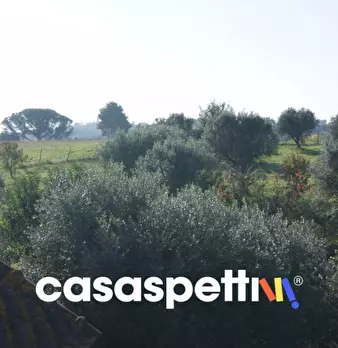 Foto annuncio 8
