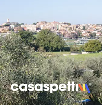 Foto annuncio 9