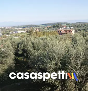 Foto annuncio 12