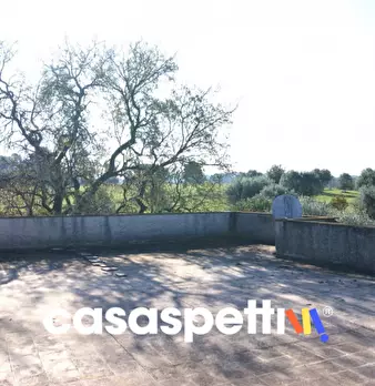 Foto annuncio 13