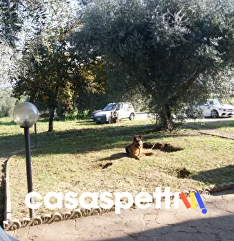 Foto annuncio 30