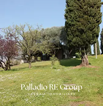 Foto annuncio 14