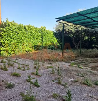 Foto annuncio 19