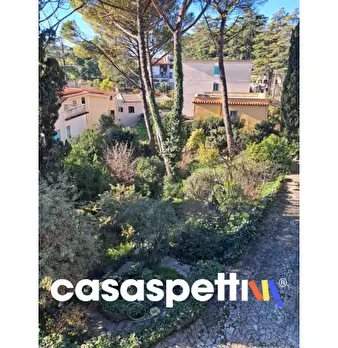Foto annuncio 23