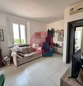 Foto annuncio 8