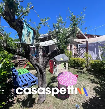 Foto annuncio 18