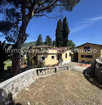 Foto annuncio 5