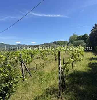 Foto annuncio 10