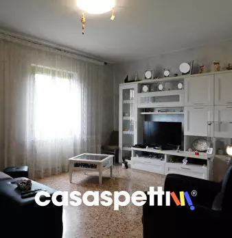 Foto annuncio 28