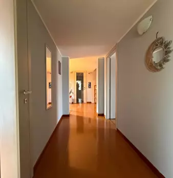 Foto annuncio 38