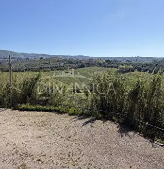 Foto annuncio 12