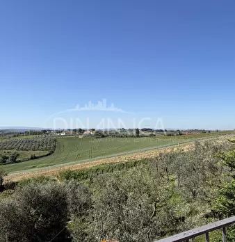 Foto annuncio 13