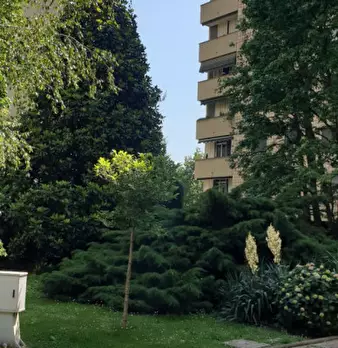 Foto annuncio 1