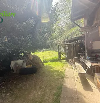 Foto annuncio 33