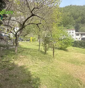 Foto annuncio 39
