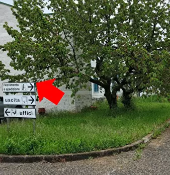 Foto annuncio 4