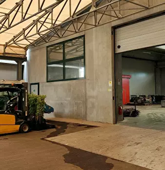 Foto annuncio 8