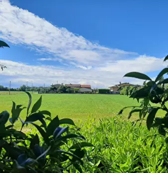 Foto annuncio 9
