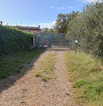 Foto annuncio 5