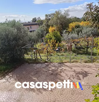 Foto annuncio 10