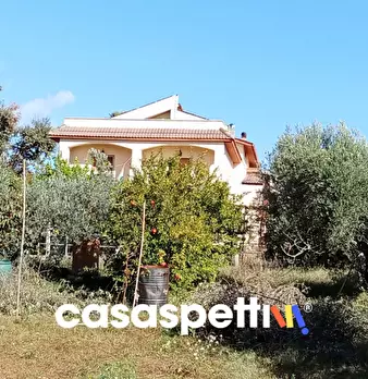 Foto annuncio 18