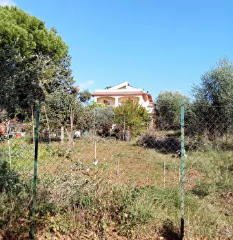 Foto annuncio 20