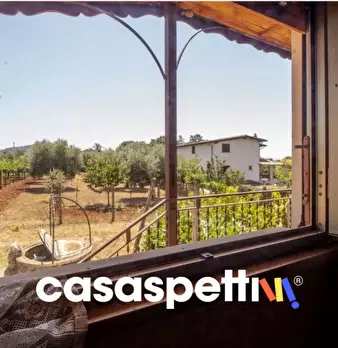 Foto annuncio 37
