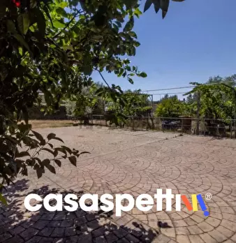 Foto annuncio 39