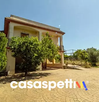 Foto annuncio 45