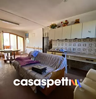 Foto annuncio 51