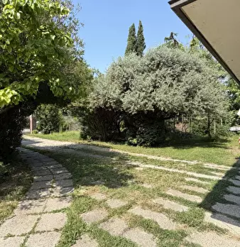 Foto annuncio 24