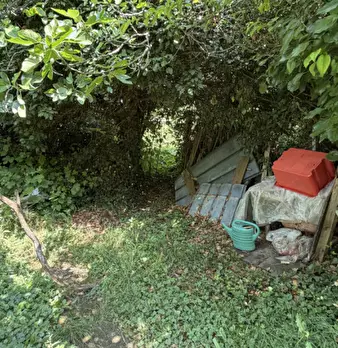 Foto annuncio 26