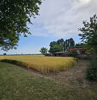 Foto annuncio 27