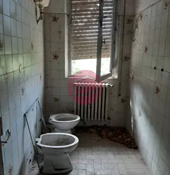 Foto annuncio 12