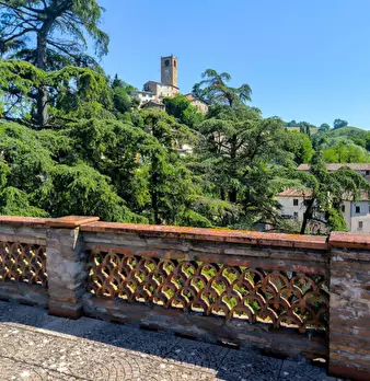Foto annuncio 29