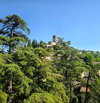 Foto annuncio 40