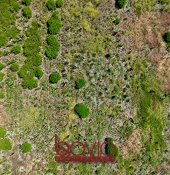 Foto annuncio 22