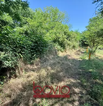 Foto annuncio 23