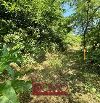 Foto annuncio 28