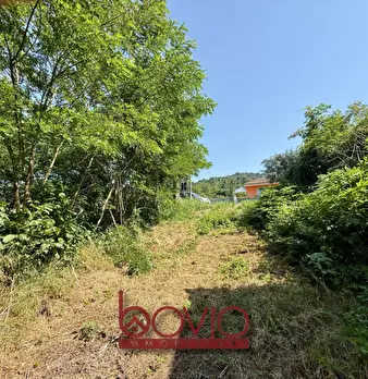 Foto annuncio 29