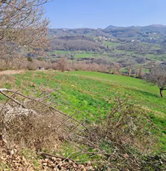 Foto annuncio 11