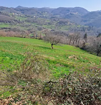 Foto annuncio 12