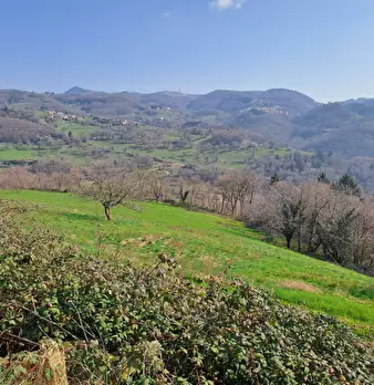 Foto annuncio 13