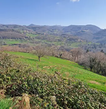 Foto annuncio 14