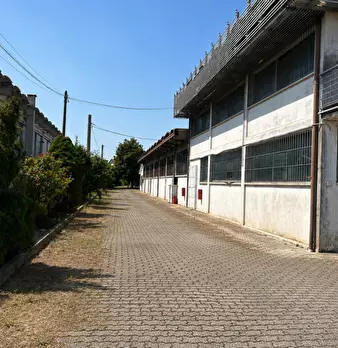 Foto annuncio 11